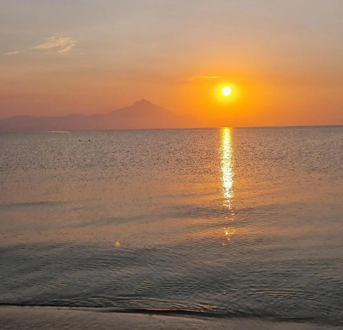 Konak Sarti